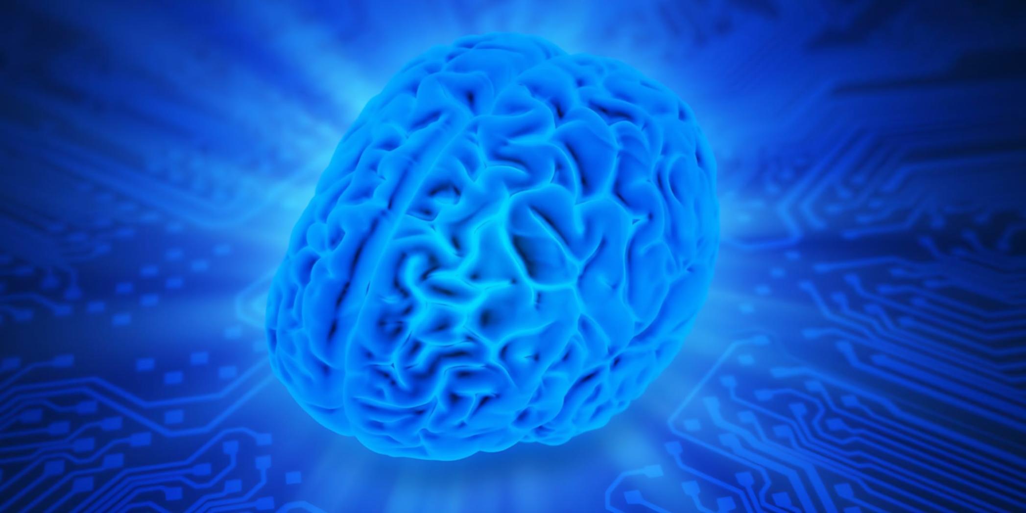 Globale Lerngemeinschaft